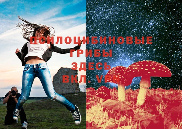 дживик Навашино