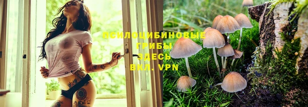меф Михайловск