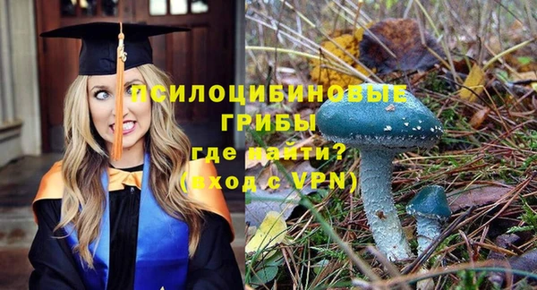 дживик Навашино